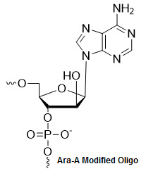 Bio-Synthesis Inc. Oligo Structure